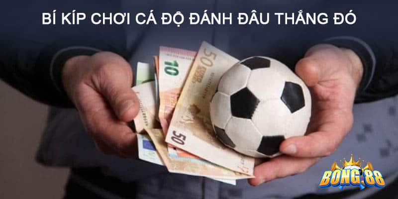 cách chơi cá độ bóng đá