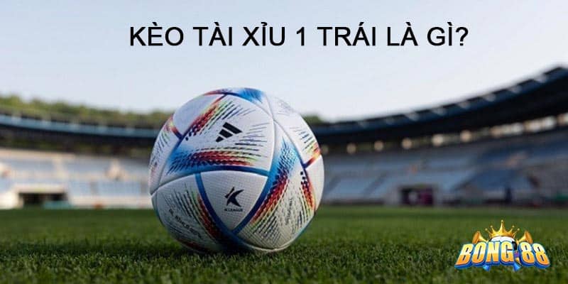 tài xỉu 1 trái là sao