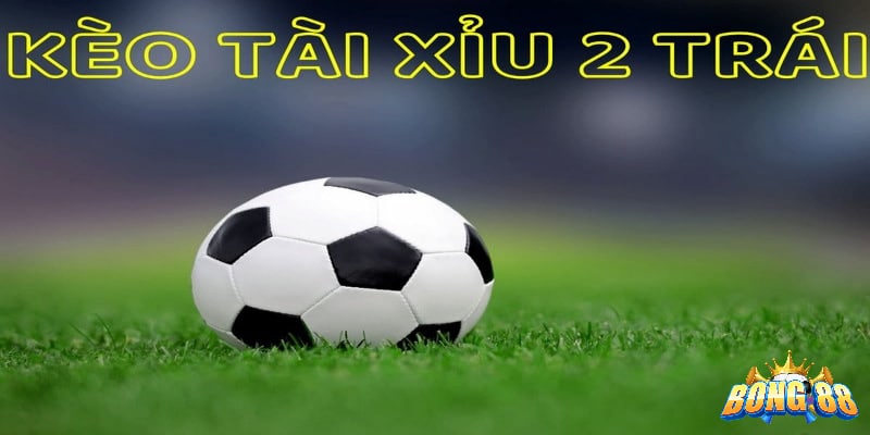 tài xỉu 2 là gì