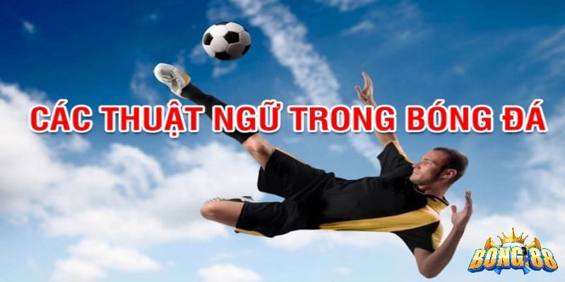 thuật ngữ cá độ đá banh